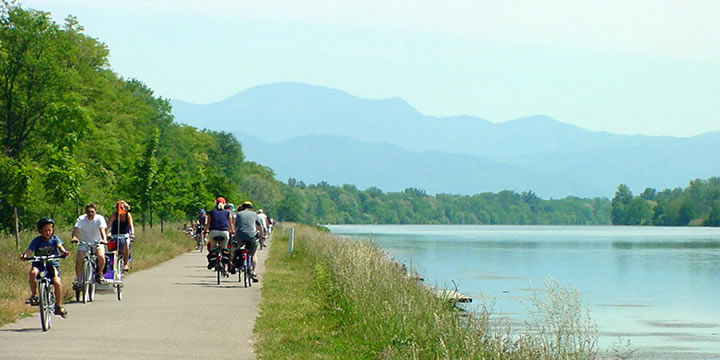 Altrhein bei Breisach mit Blick in den Schwarzwald