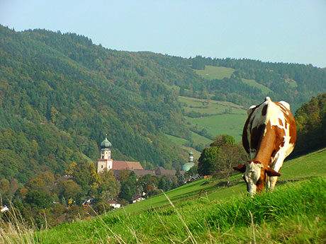 Münstertal im Schwarzwald