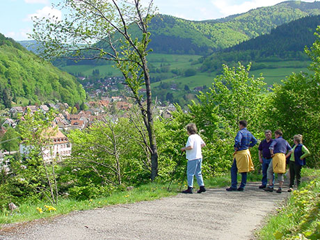 Münstertal im Schwarzwald