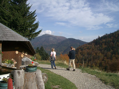 Münstertal im Schwarzwald