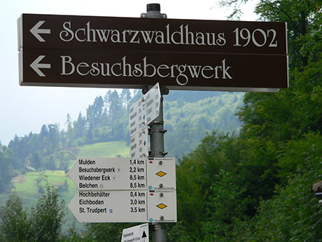 Münstertal im Schwarzwald