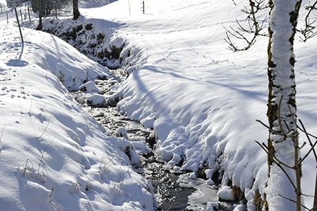 Münstertal im Schwarzwald