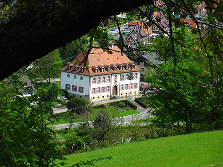 Münstertal im Schwarzwald