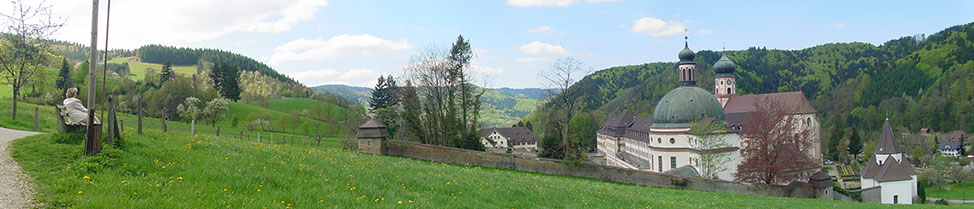 Münstertal im Schwarzwald