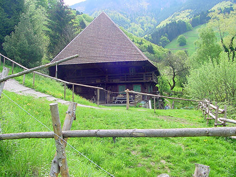 Schwarzwaldhaus   Münstertal