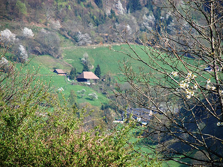 Münstertal im Schwarzwald