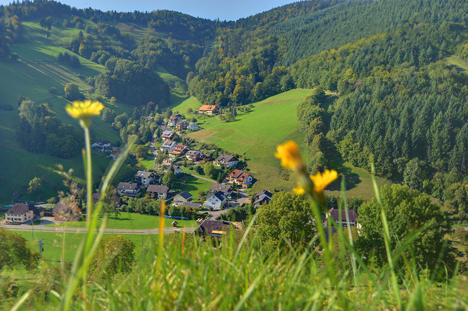 Ferienhaus Brengartner - 79244 Münstertal Laitschenbach