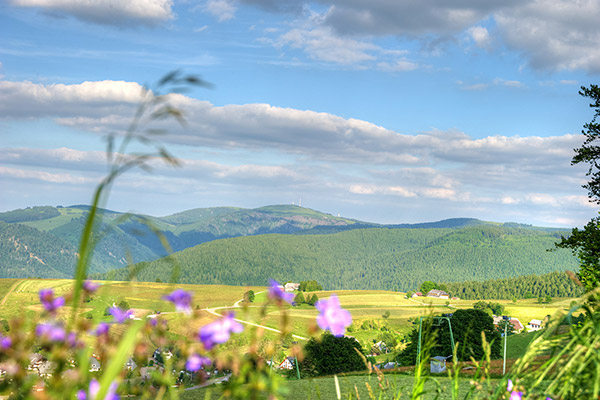 Feldberg im Schwarzwald